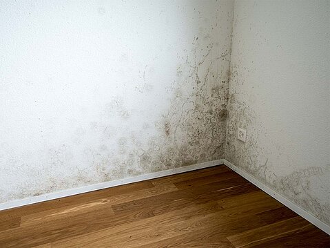 Schimmelbildung im Eck eines Zimmers